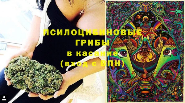 спиды Аркадак