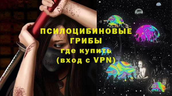 спиды Аркадак