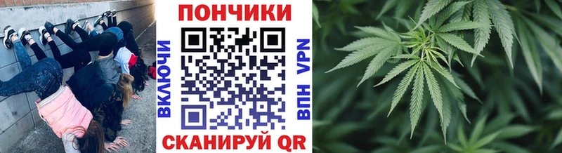 мориарти клад  Рудня  Бошки марихуана марихуана  продажа наркотиков  mega вход 